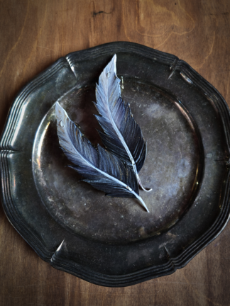 Piórko małe - stalowe - zapięcie metalowe