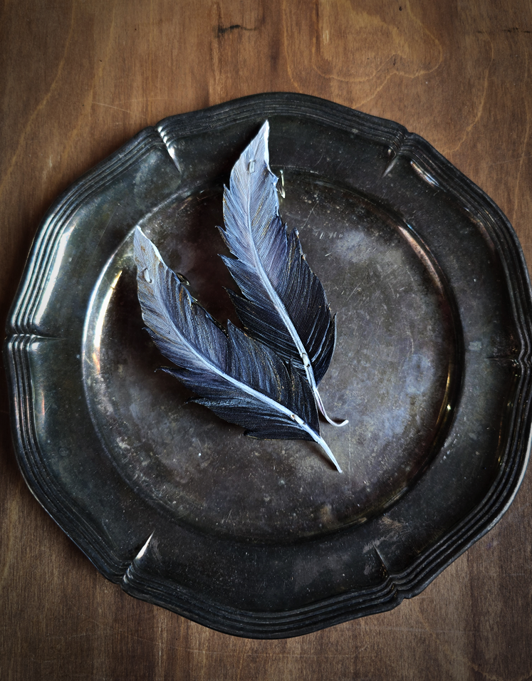 Piórko małe - stalowe - zapięcie metalowe