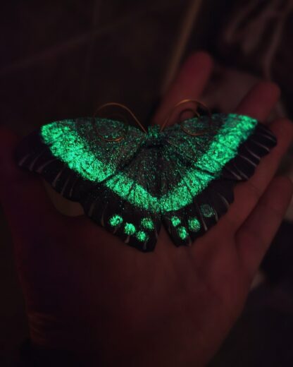 Zielony motyl - Papilio palinurus - obrazek 3