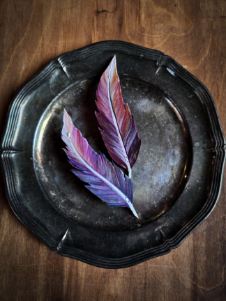 Piórko małe - fioletowe - zapięcie metalowe