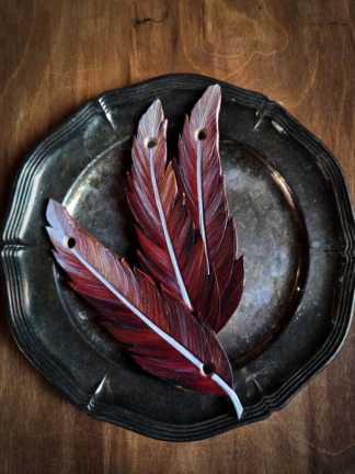 Piórko duże - czerwone - zapięcie na kołek