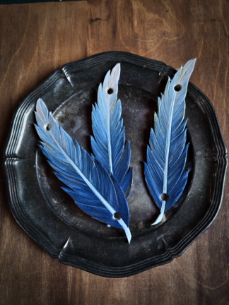 Piórko duże - niebieskie - zapięcie na kołek